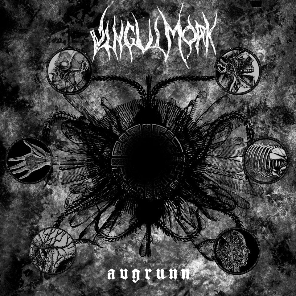 Vingulmork - "Avgrunn" [Ltd. 10" MLP]